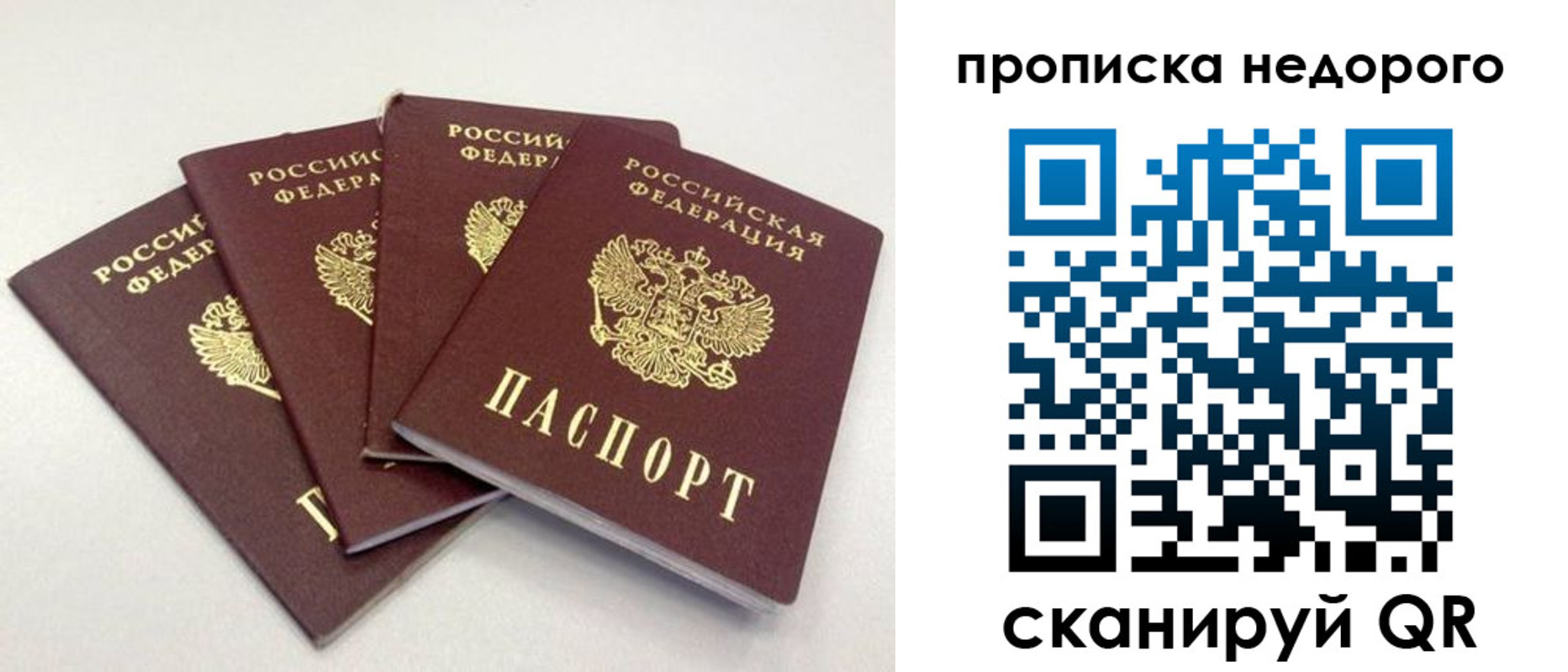 прописка законно в Каменке